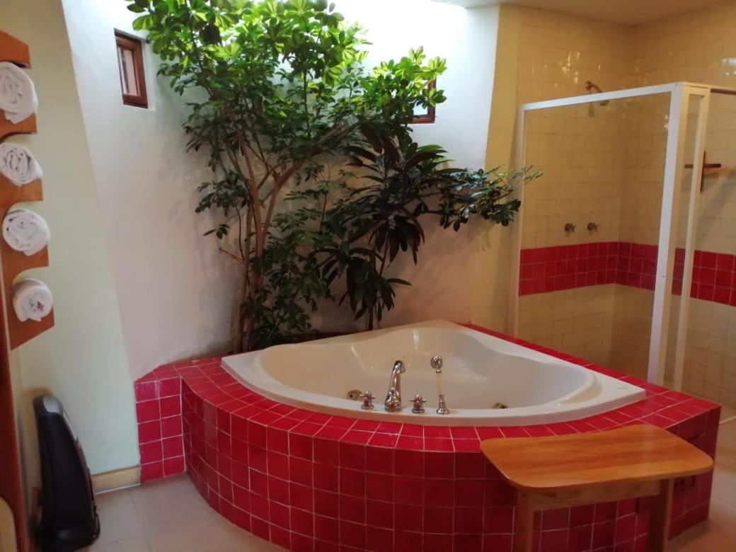 Casa Tsaya Hotel Boutique Bernal Kültér fotó